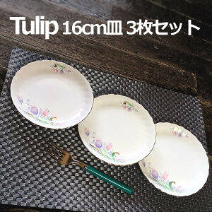 `[bv 16cm M 3Zbg ی^ EF[u P[L fU[g v[g ێM M M {   킢 JtF sN  ԕ zCg H Z ̓ pi 