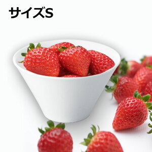 {E  zCg 9.5cm }`Jbv ` STCY ~j aH H ؔ t  X[v fU[g |[ZA[g Vv  Jbv Rbv  Β {  