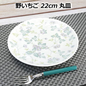 삢 22cm ێM v[g  mH pX^ fU[g ꂢ { Z  ی^ M H JtF AeB[N t` [ ̓ pi mH aH