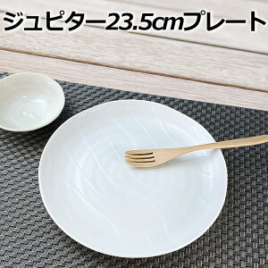 Ws^[ 23.5cm ێM v[g  mH pX^ fU[g ꂢ { Z  ی^ M H JtF t` [ ̓ pi mH aH
