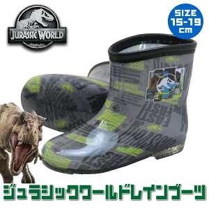 �y�N�[�|����MAX7%OFF�z �q���C ���C���u�[�c �v�����[�� �p�E�p�g ���� �j�̎q �L�b�Y �W�����V�b�N �q�� ���C �L�����N�^�[ �q�ǂ� �V���[�Y �q�ǂ��C �j�� ���� �C ���C�� �J�� 15cm 16cm 17cm 18c