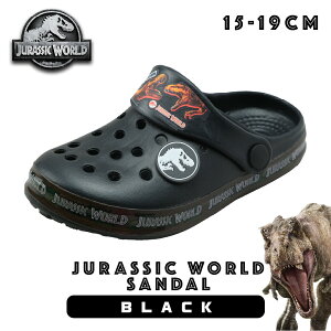 T_ LbY j̎q WVbN [h  NbO 15cm 16cm 17cm 18cm 19cm p C qC _Ci\[ ObY Lv AEghA J[L ubN ct ۈ牀 20121 20126