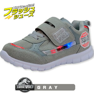 yX[p[SALE50%OFFz C LbY Xj[J[ j̎q WVbN V[Y  qC ʉ ʊw xN 15cm 16cm 17cm 18cm 19cm wZ w ct ۈ牀 o LbYV[Y L