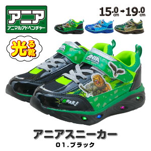 C AjA LbY Xj[J[ V[Y LbYV[Y q C ObY j̎q 17cm 18cm 19cm 15cm 16cm    Aj} RȂ v[g a NX}X AjALO_ x