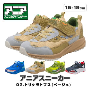 AjA LbY Xj[J[ V[Y LbYV[Y q C ObY j̎q 17cm 18cm 19cm 15cm 16cm   Aj} RȂ v[g a NX}X AjALO_ xN qC 