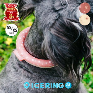 ACXO SUO ICE RING ybg TCY SS XS Ck  N[O lbNO }} pp q ybgp 낢 킢  ĕ V GtI[ MǑ΍ ΍ | M AR