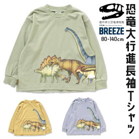 スーパーSALE30%OFF BREEZE 福井県立恐竜博物館コラボ 恐竜 長袖Tシャツ ロンT アウター 長袖 恐竜 スカジャン 刺繍 男の子 女の子 ブリーズ 子供服 キッズ ベビー ジャンパー ジャケット ブルゾン おしゃれ かっこいい 秋 秋物 秋冬 冬物 新作 エフオー FO J406952