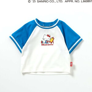 LbY  TVc n[LeB LeB ̎q q TI u[Y  t 130cm 120 110 100 90 ĕ 킢 100 Z` ct ۈ牀 w   v[g Mtg BR