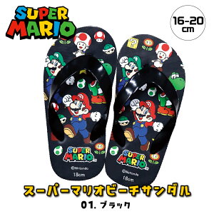 yN[|3%OFFz r[`T_ }I LbY q j̎q p v[ C  ɂȂ EVA 킢   16cm 17cm 18cm 19cm 20cm r[T Q[ wZ  ct q