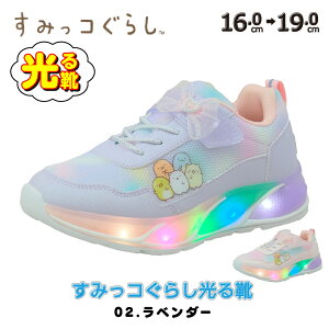 C ݂R炵 Xj[J[ LbY ̎q LN^[ q a v[g ObY Mtg NX}X 16cm 17cm 18cm 19cm 킢 bsO sN p[v wZ  ct 