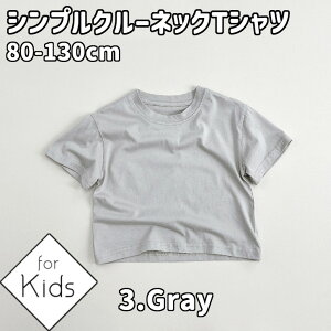  TVc LbY n q LbYTVc Vv N[lbN j̎q ̎q ۈ牀 ct wZ ʉ ʊw i  Rbg t  ĕ ĕ zCg  O[  ubN 80