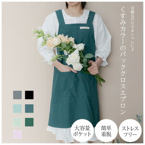 y|Cg10{zGv Ԃ邾  ۈm 傫TCY k Ԃ n s[X fB[X JtF  obNNX EȒP 킢 jp JtF  Ԃ d