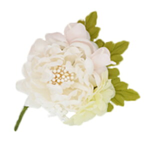 yŒZzyiz RT[W Nbv tH[} w   Ǝ  \ l q qǂ