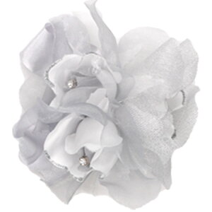 yŒZzyiz RT[W tH[} Nbv w   Ǝ  \ l