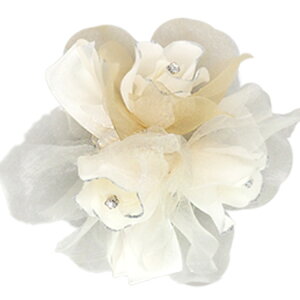 yŒZzyiz RT[W tH[} Nbv w   Ǝ  \ l