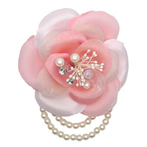 yŒZzyiz RT[W  o tH[} Nbv w   Ǝ  \ l