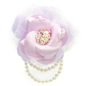 yŒZzyiz RT[W  o tH[} Nbv w   Ǝ  \ l