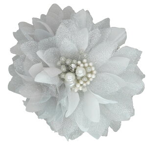 yŒZz RT[W }Olbg tH[} w   Ǝ  \ l q qǂ