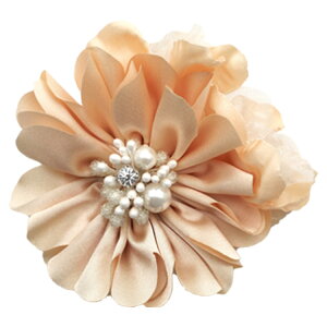 yŒZzyiz RT[W  o tH[} Nbv w   Ǝ  \ l