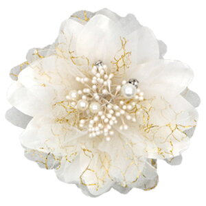 yŒZzyiz RT[W  o tH[} Nbv w   Ǝ  \ l