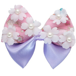 yŒZzyiz a  Ǝ { n[tAbv  w Vv   V[g ͂   wANbv l  q 傫 Ղ  l O