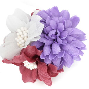 yŒZz a  Ǝ n[tAbv w Vv   V[g ͂   wANbv l q Ղ  l OB ԉ ܎O 񂴂