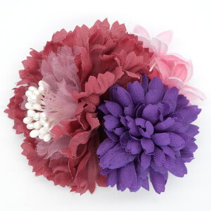 yŒZz a  Ǝ n[tAbv w Vv   V[g ͂   wANbv l q Ղ  l OB ԉ ܎O 񂴂