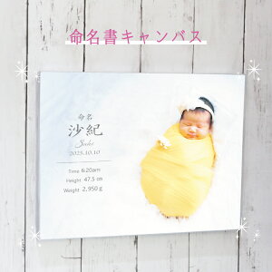 [ꖳ]   xr[LoX vg oYj a e v[g qǂ ʐ^ I[_[pl tHgvg IWiʐ^ Ǌ| ` ` F4 SSM tHg