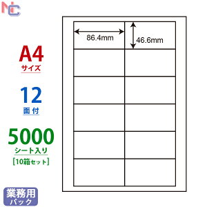 LDW12PBA(VP10) ii[h VvpbN 86.4×46.6mm 12 5000V[g A4 ȈՕ^Cv }`^Cvx [U[v^ CNWFbgv^ ㉺E]