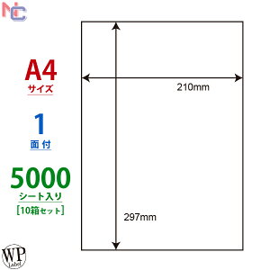 WP00101(VP10) V[gJbgx 1 210×297mm 5000V[g Xbg1{ [hvCXx [U[ CNWFbg v^p ^bNV[ A4V[g WPx