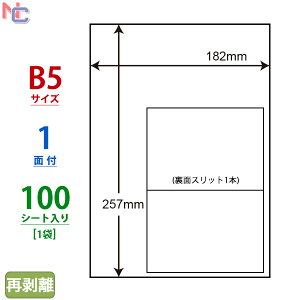 C1B5F(L) }`^CvxĔ^Cv iiRs[ m ^bNx [U[v^ECNWFbgp iix 182×257mm m[Jbg 1ʕt 100V[g