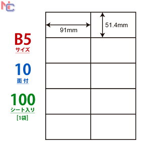 C10B5M(L) iiRs[ }`^Cvx [U[v^ECNWFbgp B5TCY 10ʕt 51.4×91mm 100V[g