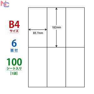 E6i(L) �i�i�R�s�[ �}���`�^�C�v���x�� ���[�U�[�E�C���N�W�F�b�g�v�����^���p ���m��� 182×85.7mm �]������ B4�V�[�g 6�ʕt�� 100�V�[�g����