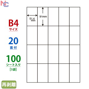 E20SF(L) �i�i�R�s�[ �}���`�^�C�v���x���Ĕ����^�C�v ���[�U�[�E�C���N�W�F�b�g�v�����^���p ���m��� 91×51.4mm �]������ B4�V�[�g 20�ʕt�� 100�V�[�g����