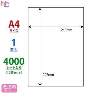 SCJ-7(VP10) 򎆃x A4 1 4000V[g m[Jbg 210×297mm A4V[ SCJ7 J[CNWFbgv^p 唻TCY [Ɩp ܂Ƃߔ]