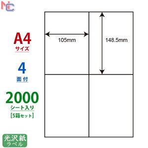 SCL-50(VP5) ϐ򎆃x 105×148.5mm 4 ]Ȃ 2000V[g A4 [U[v^p SCL50 򃉃x V[ [U[p