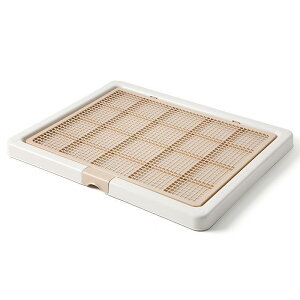 gCg[  ybggC X[p[Ch  gC t`ꂵɂ g[jO