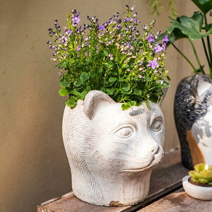 鉢花 植木動物の頭のプランターポット猫の顔プランター植木ジューシーなポット鉢の装飾植木鉢 (Color : 白 Size : 6.29*7.28in)