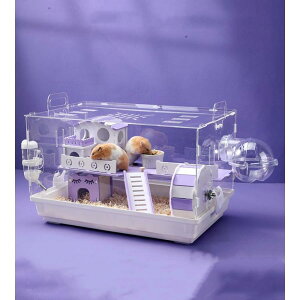 nX^[P[W AN P[W P[W S[fnX^[ nX^[nEX ^ P[W  nX^[nEX