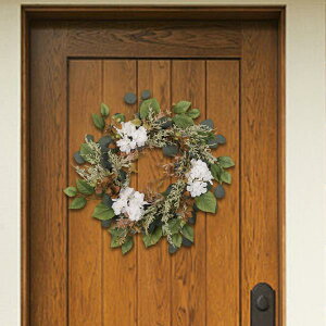 lH[J[X փhApԃAWTC  rO[ tp[X tFXeBo  zep