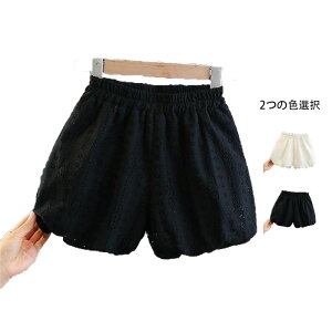 t V[gpc LbY tH V[gpc EGXgS JWApc pc {gX q n[tpc ̎q Y{ Y{ n t Vv JWA 