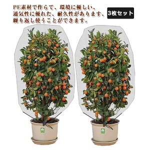 hlbg 3ZbgIAیJo[ hlbg v^[ ؉ |plbg ԒdKp zCg  |plbg
