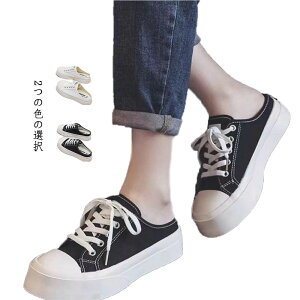 Xj[J[ ƂȂXj[J[ wlp  ƂȂ  fB[X fC[ ^C  킢 PF Vv 