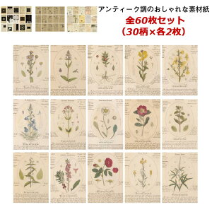 Be[W y[p[ 60 15 fގ g  AeB[N ubN wi COfUCy[p[ R[Wf fރy[p[ p p  f 莆 V y F 蒠fR y