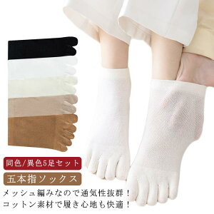 ʋCQ Rbg F/ِF5Zbg ėp  C Y bV z N[\bNX w X|[c ܖ{wC n ܖ{w\bNX y LȂ Ȃ fB[X  