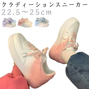  Xj[J[ fB[X [Jbg [XAbv NfB[V C V[Y ₷ y  L ʋ ʊw sN u[ p[v 