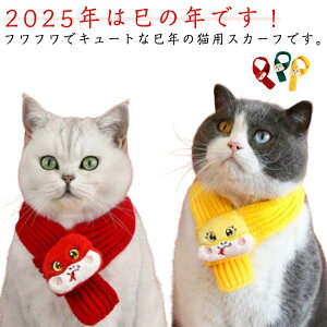 Lp }t[  蕨 wr RXv  Xk[h  LpXJ[t ւ  N ybg o_i XJ[t Lp  VN 2025N x N H~ h ybg}t[ ۉ  