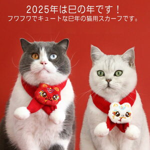 Lp}t[  蕨 wr RXv p}t[  L L NX}X jbg Lp}t[ 2025N x N N hbOEFA LbgEFA  L XJ[t Xk[h ANZ