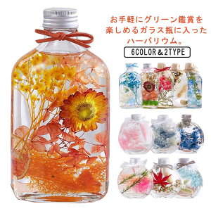 n[oE ی^ Mtg  vU[uht[  u CeAG 킢  av[g hCt[ Vzj Fl zj  FB 30 40 50