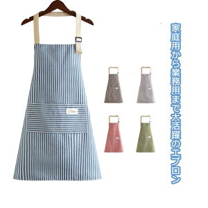 p Y i` JtFGv fB[X Lb` Gv \Gv Ɩp t[TCY k cXgCv Gv y ƒp n Vv 킢 | 